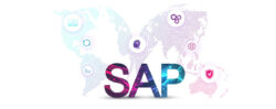 what is sap system